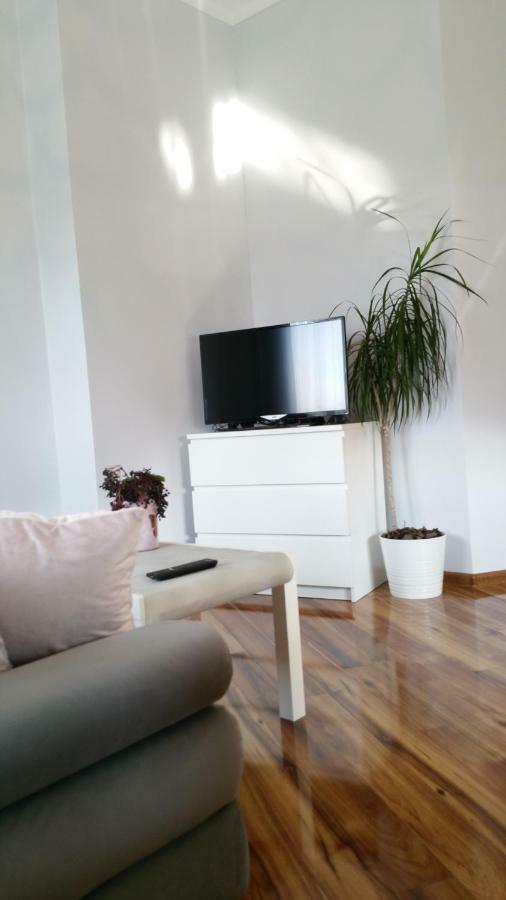Royals Flower Apartments III 克拉科夫 外观 照片