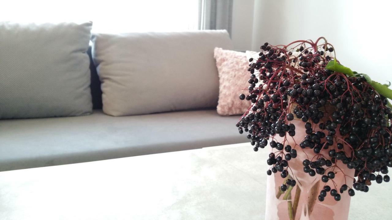 Royals Flower Apartments III 克拉科夫 外观 照片